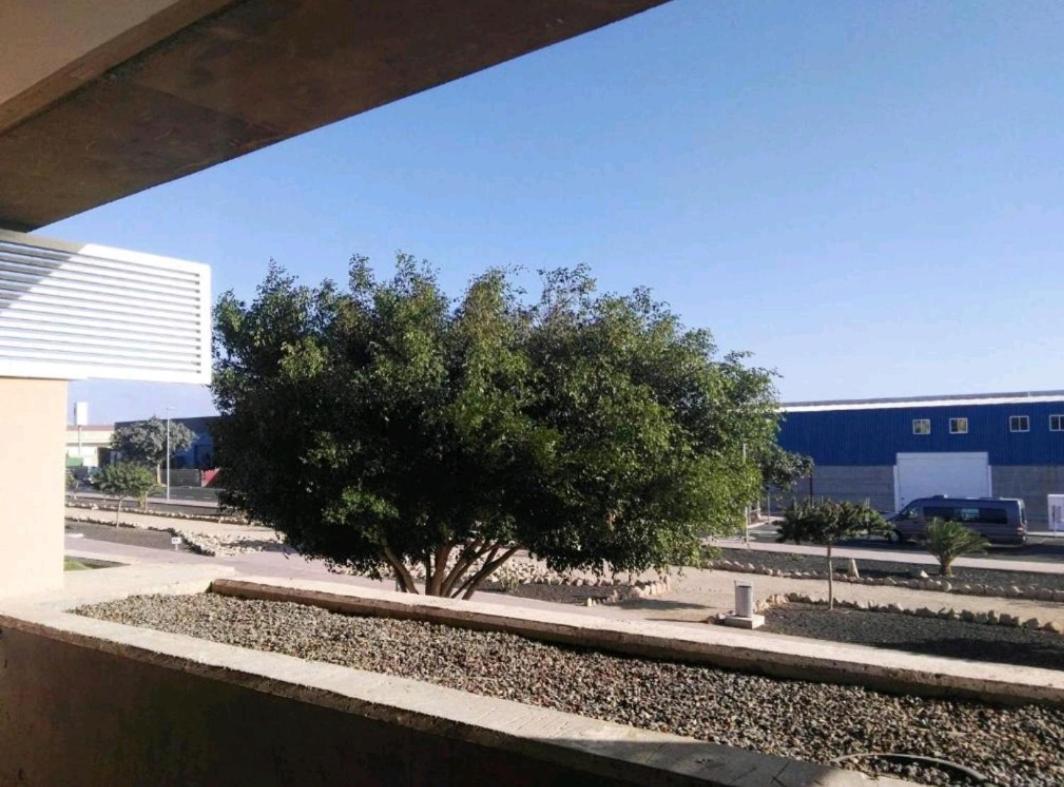 Strelitzia Park Aparthotel San Miguel de Abona Bagian luar foto