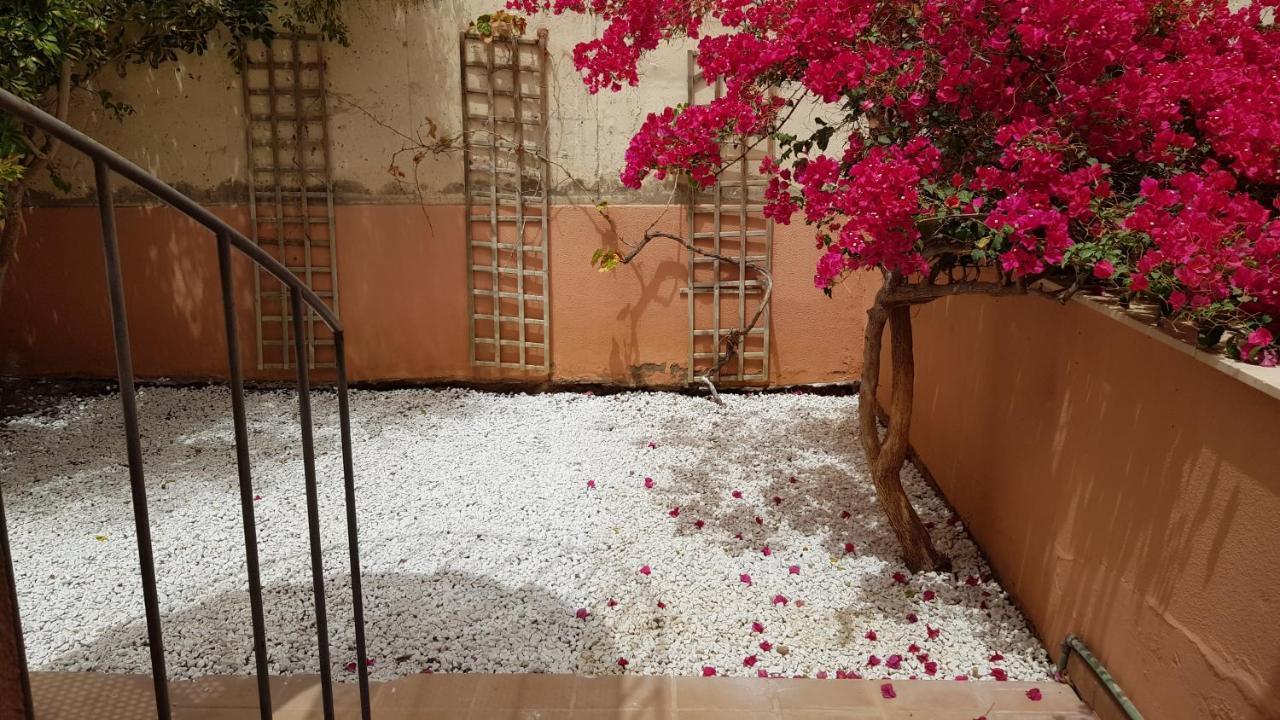 Strelitzia Park Aparthotel San Miguel de Abona Bagian luar foto